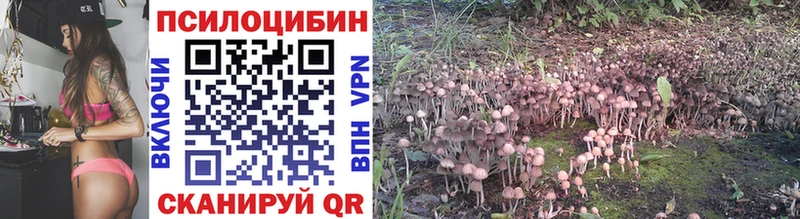 магазин продажи Лагань Галлюциногенные грибы Cubensis